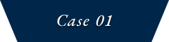 Case 01